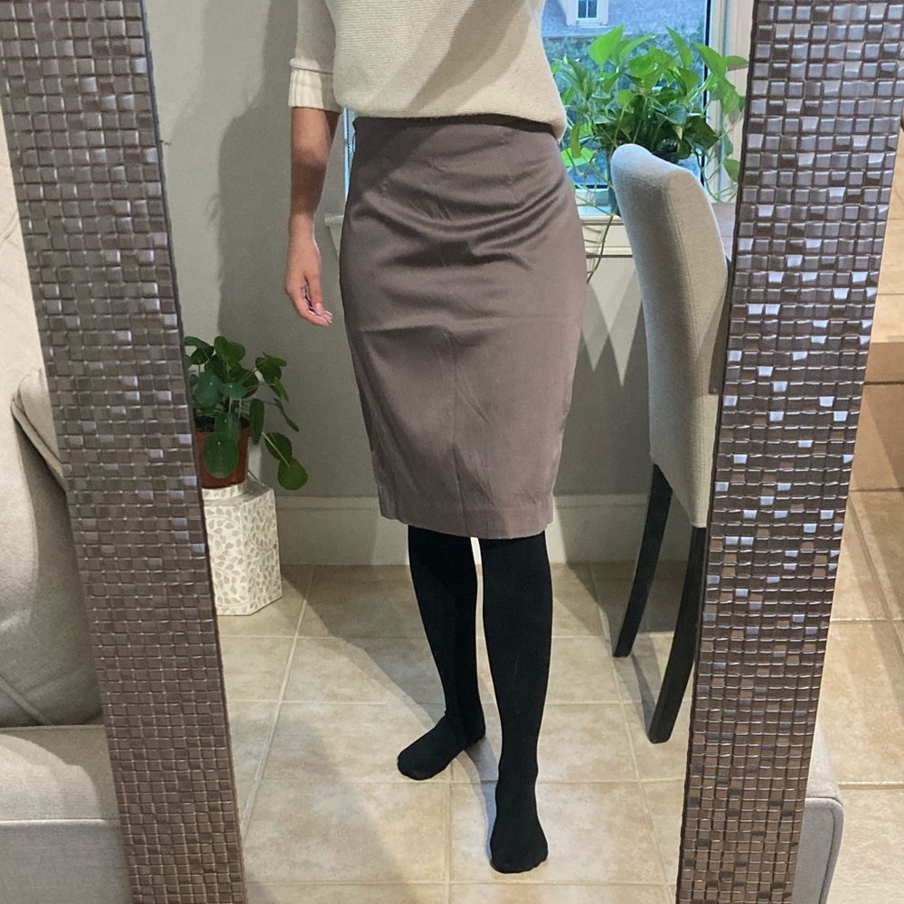 Ann Taylor Silk Skirt